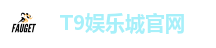 T9娱乐城官网